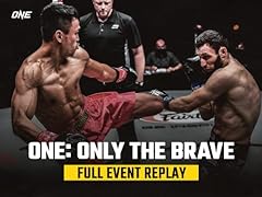 One brave for sale  Delivered anywhere in USA 