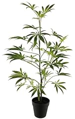 Mucplants hochwertiger künstl gebraucht kaufen  Wird an jeden Ort in Deutschland
