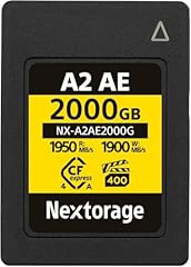 Nextorage 2000gb 2tb usato  Spedito ovunque in Italia 