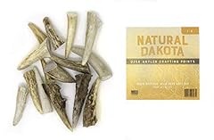 Natural dakota deer for sale  Delivered anywhere in USA 
