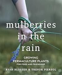 Mulberries rain growing for sale  Delivered anywhere in USA 