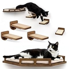 Inicio cat wall for sale  Delivered anywhere in USA 