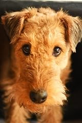 Airedale terrier notebook for sale  Delivered anywhere in Ireland