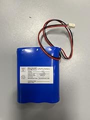 Batteria litio lifepo4 usato  Spedito ovunque in Italia 