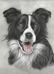 Large border collie for sale  Delivered anywhere in UK