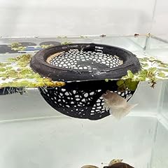 Aquarium floating betta for sale  Delivered anywhere in USA 