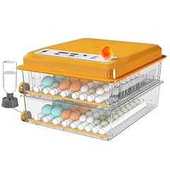 Chalixion incubatrice per usato  Spedito ovunque in Italia 