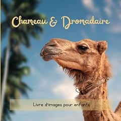 chameau dromadaire d'occasion  Livré partout en France