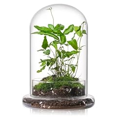 Whjy inches glass for sale  Delivered anywhere in USA 