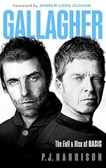 Gallagher the fall usato  Spedito ovunque in Italia 