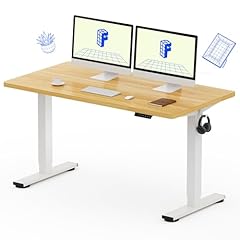 Flexispot en1 one for sale  Delivered anywhere in USA 