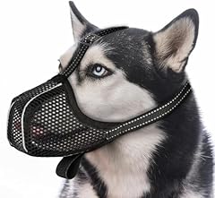 Museliere chien empêche d'occasion  Livré partout en France