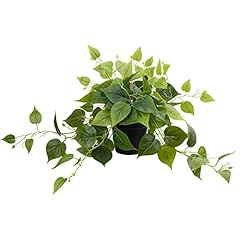 Loywree faux pothos for sale  Delivered anywhere in USA 