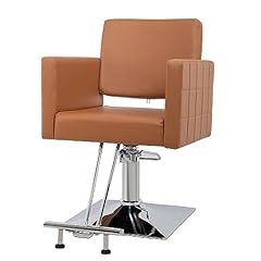 Salon styling chair for sale  Delivered anywhere in USA 