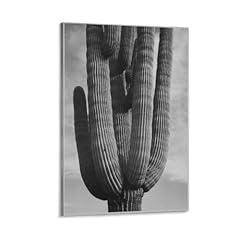 Saguaros saguro national for sale  Delivered anywhere in USA 
