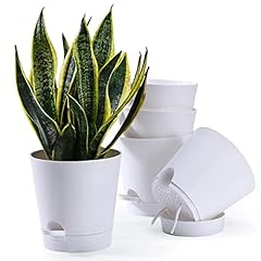 Qaobo plant pots for sale  Delivered anywhere in USA 