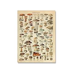 Vintage encyclopedia posters for sale Vintage encyclopedia posters for sale  Delivered anywhere in UK