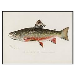 Male brook trout for sale  Delivered anywhere in USA 