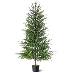 Foteewl 5ft norfolk for sale  Delivered anywhere in USA 