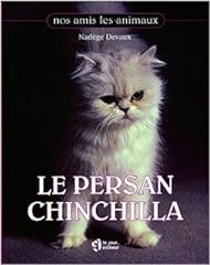 Persan chinchilla nadege d'occasion  Livré partout en France