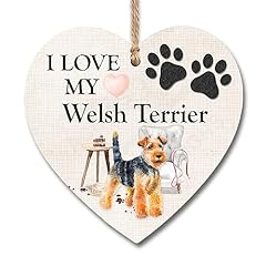 Love welsh terrier for sale  Delivered anywhere in UK