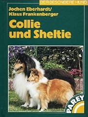 Collie und sheltie for sale  Delivered anywhere in UK