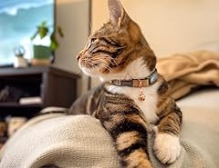 Rogz urban katzenhalsband gebraucht kaufen  Wird an jeden Ort in Deutschland