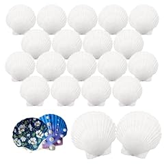 Iopjlk coquilles saint d'occasion  Livré partout en France