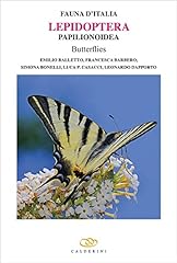 Lepidoptera papilionoidea butt usato  Spedito ovunque in Italia 