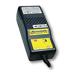 Batterie charger accumate for sale  Delivered anywhere in UK