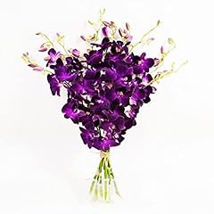 Athena garden fresh for sale  Delivered anywhere in USA 