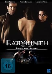 Labyrinth hne ausweg gebraucht kaufen  Wird an jeden Ort in Deutschland