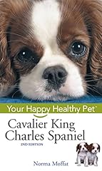 Cavalier king charles for sale  Delivered anywhere in USA 
