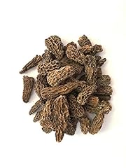 Spitzmorcheln conica spezial gebraucht kaufen  Wird an jeden Ort in Deutschland