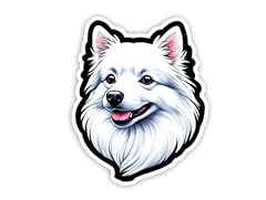 American eskimo dogs for sale  Delivered anywhere in USA 