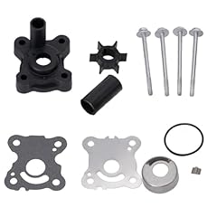 Kit riparazione pompa usato  Spedito ovunque in Italia 