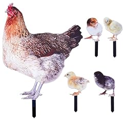 Creatcabin pollo cortile usato  Spedito ovunque in Italia 