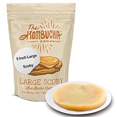 Kombucha scoby large for sale  Delivered anywhere in USA 