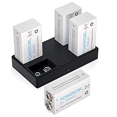 Batterie ricaricabili powerowl usato  Spedito ovunque in Italia 