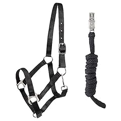 Pfiff 102931 set usato  Spedito ovunque in Italia 