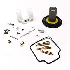Vergaser reparatursatz teilig gebraucht kaufen  Wird an jeden Ort in Deutschland