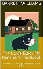 Large black pig for sale  Delivered anywhere in USA 