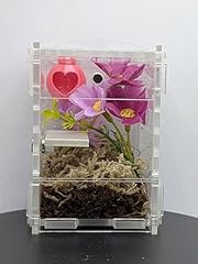 Jumping spider enclosure for sale  Delivered anywhere in UK