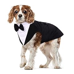 costume chien d'occasion  Livré partout en France