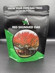Shumard red oak for sale  Delivered anywhere in USA 