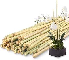 Cheoar 90cm 30pcs for sale  Delivered anywhere in UK