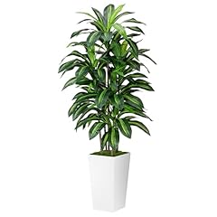 Artificial dracaena plant for sale  Delivered anywhere in USA 