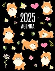 Pomerania agenda 2025 usato  Spedito ovunque in Italia 