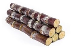 Fresh purple sugarcane for sale  Delivered anywhere in USA 