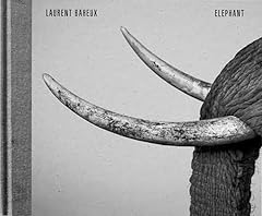 Elephant usato  Spedito ovunque in Italia 